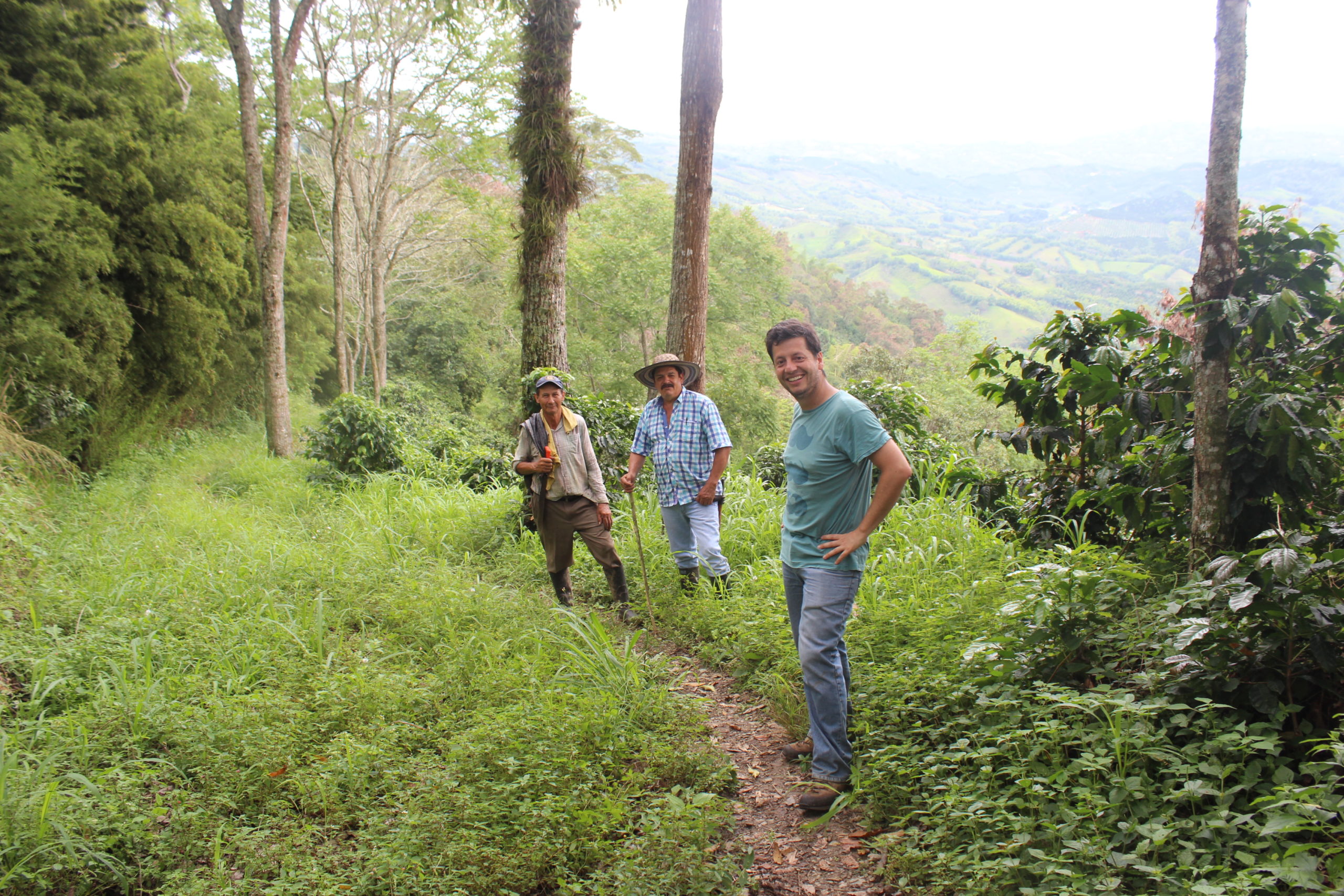 landscape toward Manizales