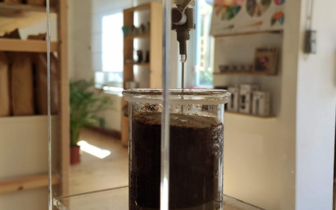 Cold brew coffee